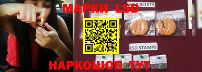 PSILOCYBIN Заволжье