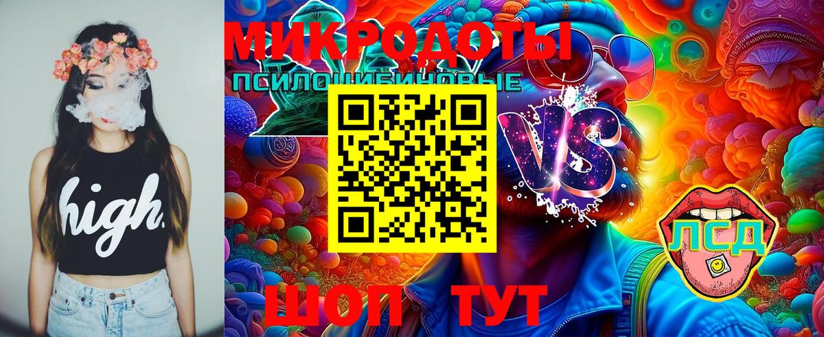 Псилоцибиновые грибы Magic Shrooms  Вход с VPN  где продают   Псилоцибиновые грибы прущие грибы  Тольятти 