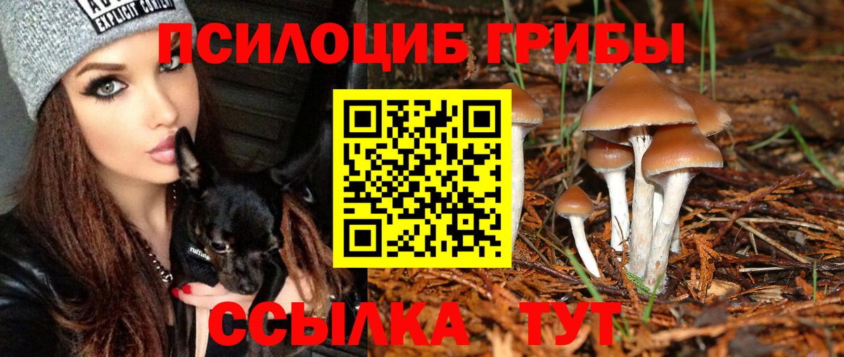 Псилоцибиновые грибы мицелий Тольятти